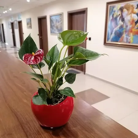 Hotel Peshtera Peshtera (Pazardzhik)