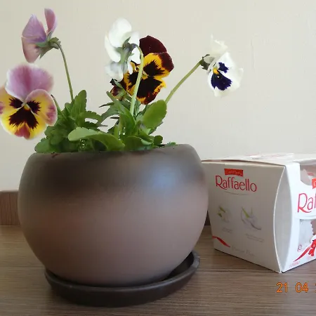 Peshtera * Peshtera (Pazardzhik)