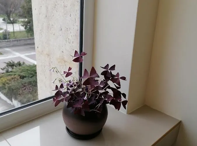 Peshtera Hotel Peshtera (Pazardzhik)