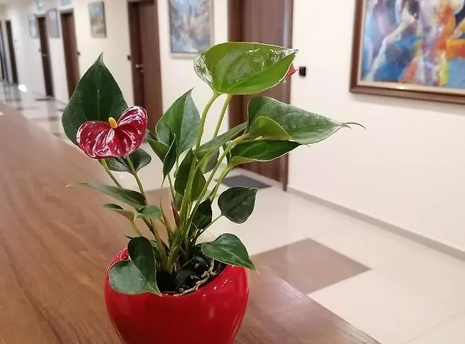 Hotel Peshtera Peshtera (Pazardzhik)