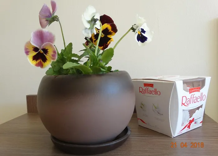 Peshtera * Peshtera (Pazardzhik)